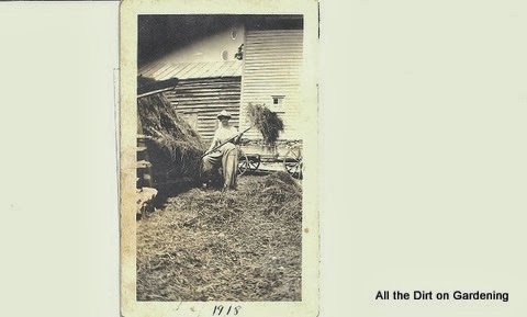 All the Dirt on Gardening