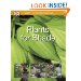 Plants for Shade (SIMPLE STEPS TO SUCCESS)