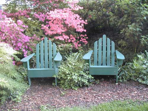 view pictures of my garden