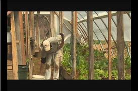 Hoop House Farming: Ground Cover