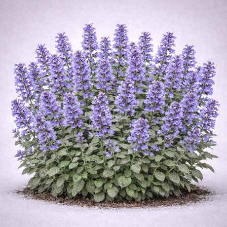 ferm living plant box outdoor Two-Tier Plant Box