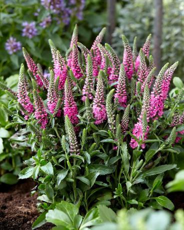 m01.jpg?t=1725397409